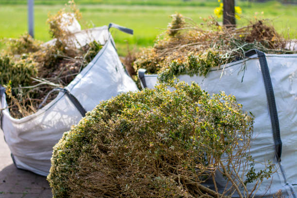 Debris Removal in Susquehanna Trails, PA